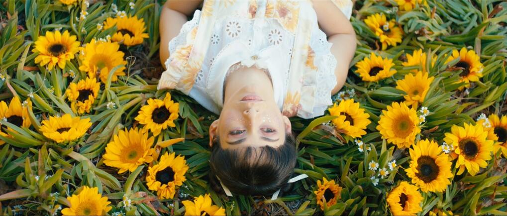 Sunflowers Sunflowers
